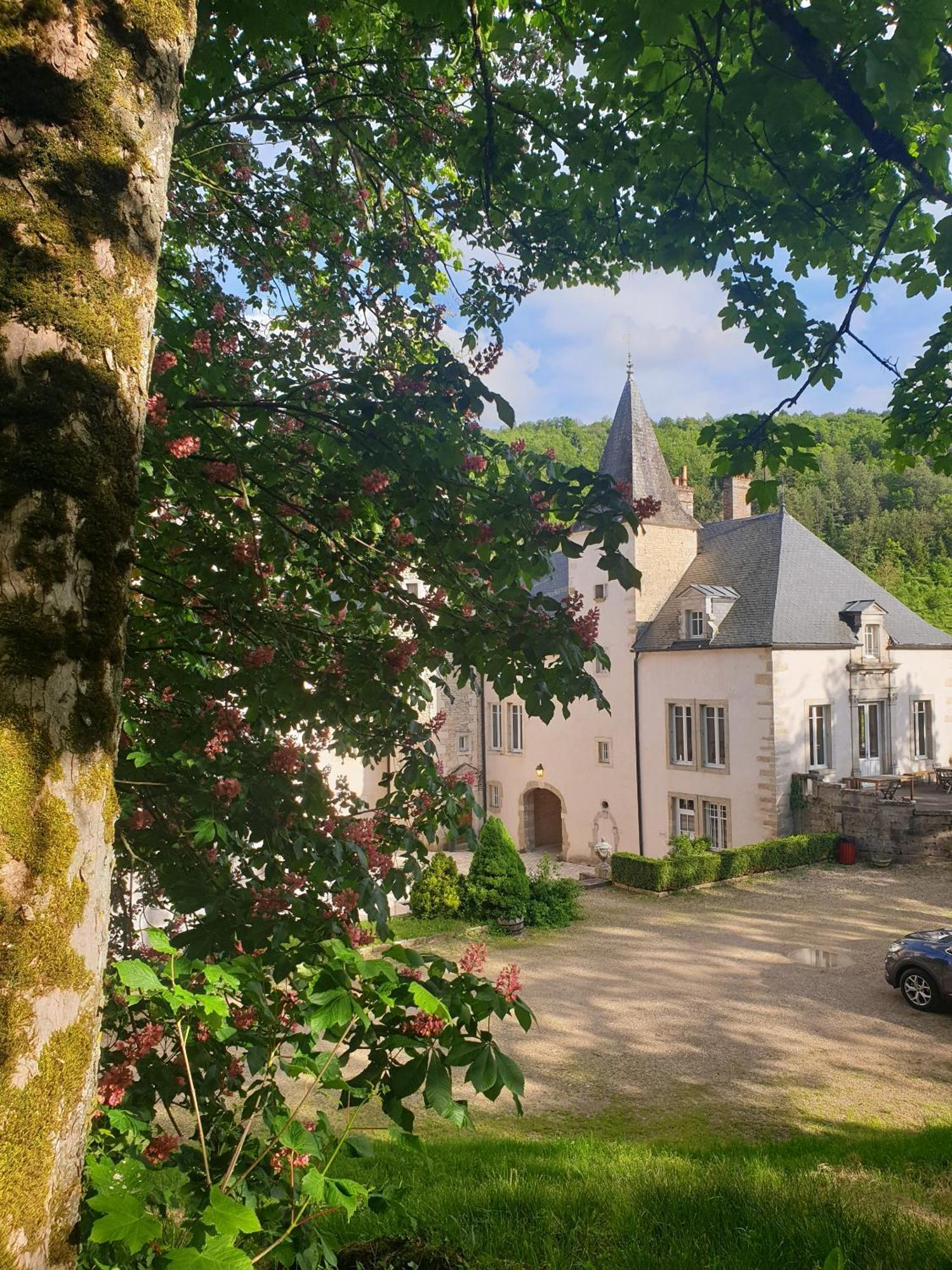 Chateau De Melin - B&B Auxey-Duresses Exterior photo